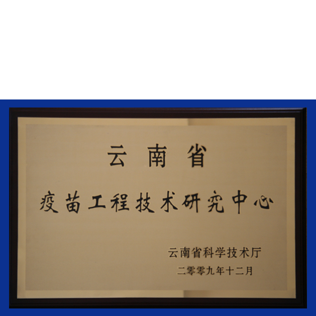 3377体育-全网最全最有态度的体育赛事直播平台